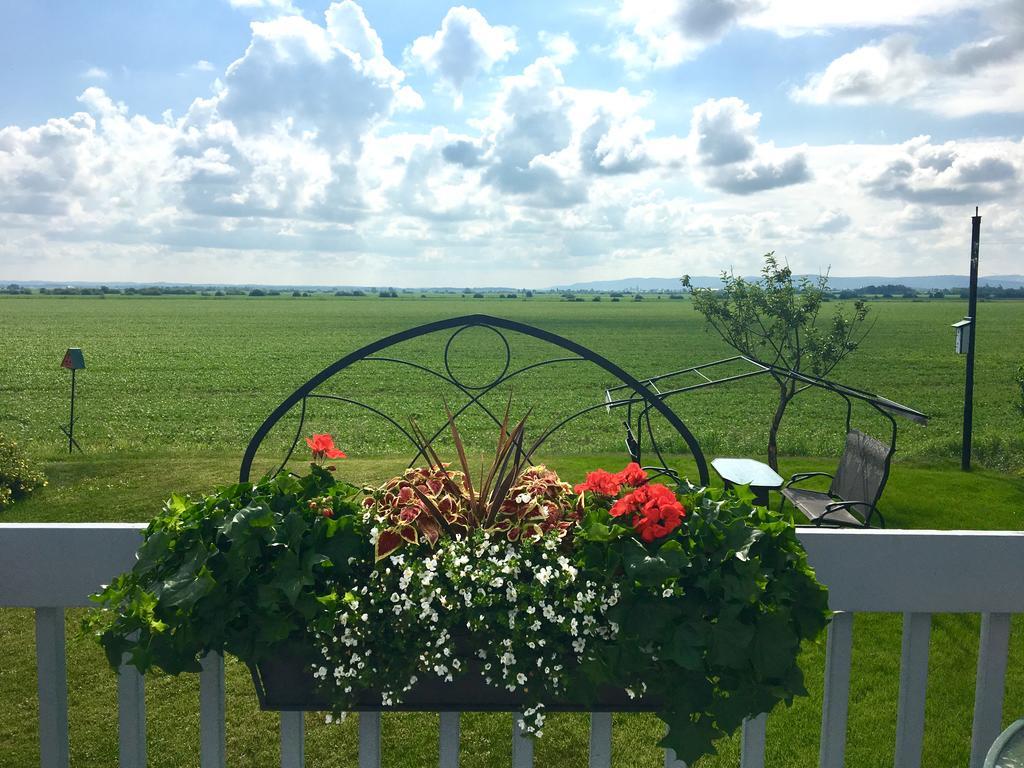 Champ Soleil Bed & Breakfast Metabetchouan-Lac-a-la-Croix Exterior photo